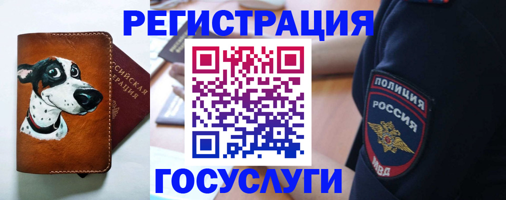 временная регистрация в квартире в Анадыре